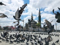 İstanbul'un Tarihi Meydanlarından Tarihi Kareler Haberi