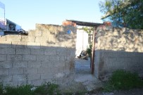 Ailelerin 'Arı Kovanı' Kavgasında Kan Aktı Açıklaması 1 Ölü, 5 Yaralı