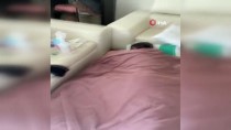 Bakan Koca Talimat Verdi, İsveç'te Yaşayan Covid-19 Hastası Türkiye'ye Getiriliyor