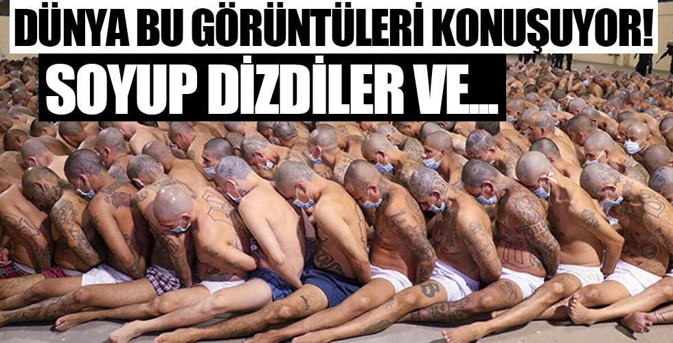 Dünya bu fotoğrafı konuşuyor! Soyup dizdiler, sonra da...
