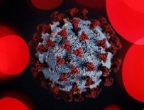 Koronavirüsle ilgili şaşırtan gelişme!
