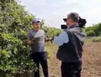 DEMOKRAT PARTI - Limon kurgusunun arkasından o isim çıktı!