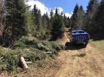 Otizmli İbrahim'in Arama Çalışmalarında Yeni Gelişme