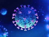 SEMPTOM - Koronavirüste 6 yeni belirti!