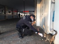 (Özel) Polis Memuru İftarlık Yemeğini Sokak Kedileri İle Paylaştı