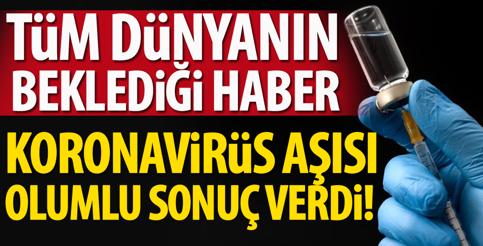 Koronavirüs aşısı olumlu sonuç verdi