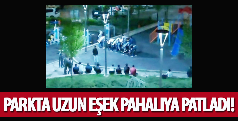 Parkta 'uzun eşek' pahalıya patladı