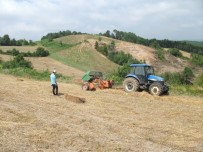 Büyükşehir'in Yüzde 50 Hibeli Tohum Desteği Çiftçilere Ulaştırıldı