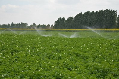 Denizli'de Sulu Tarımla Bu Yıl 1.5 Milyar TL'lik Artı Gelir Bekleniyor