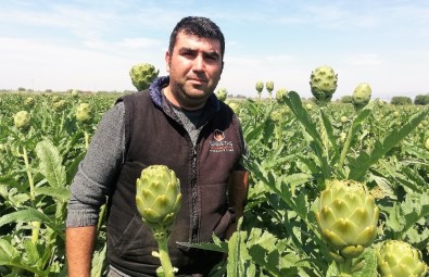 Enginarda Kazanan Aracı Oldu; Tarlada 1, Pazarda 5 Lira