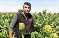 Enginarda Kazanan Aracı Oldu; Tarlada 1, Pazarda 5 Lira