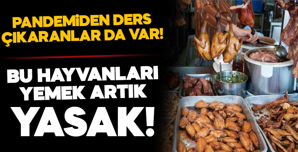 Çin'in o kentinde bu hayvanları yemek artık yasak!