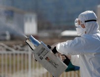 LABORATUVAR - Koronavirüse karşı dirençli hale gelmek mümkün mü?