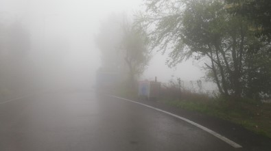 Zonguldak'ta Sis Etkili Oldu