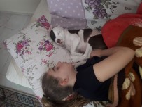 Genç Kız, Arabayla Köpeğine Çarpıp Kaçan Şahsın Yakalanmasını İstiyor