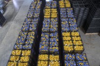 Mersin'den İstanbul'a 20 Ton Limon Daha Gönderildi