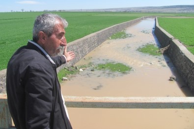 20 Yıl Aradan Sonra Tahta Köprü'den Su Akmaya Başladı