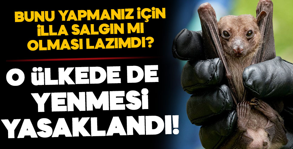 Çin'in ardından o ülkede yasaklandı!