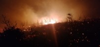ORMAN YANGINI - Kaş'ta Zeytinlik Ve Makilik Alan Yangını