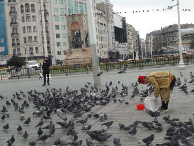 Taksim'de Aç Kalan Güvercinleri Beslediler