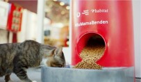 VODAFONE - Türkiye Vodafone Vakfı'ndan 'Salgında Sokak Hayvanlarını Unutma' Çağrısı