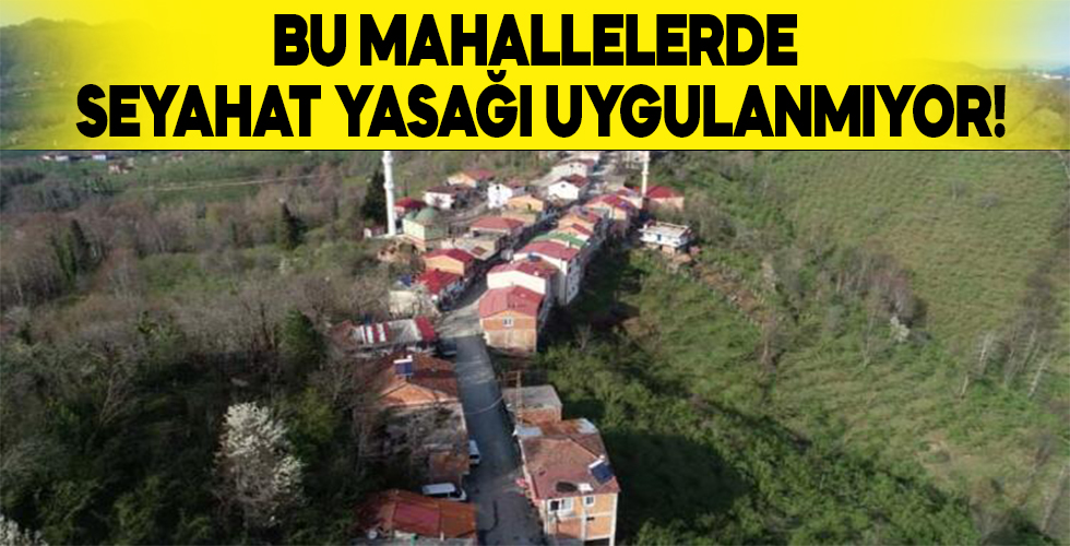 2 Büyükşehrin bu mahallelerinde seyahat yasağı uygulanmıyor