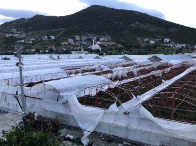 Antalya'da Fırtına Seraları Yerle Bir Etti