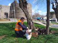 HASAN BASRI GÜZELOĞLU - Büyükşehir Belediyesi Korona Mağduru Sokak Hayvanlarını Unutmadı