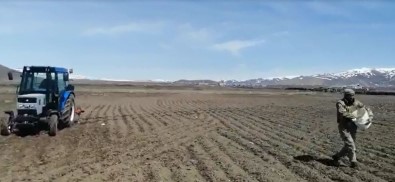 Güvenlik Korucuları Yaşlı Adamın Tarlasını Sürüp Ekim Yaptı