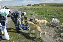 UĞUR İBRAHIM ALTAY - Konya'da Sokak Hayvanlarını Beslemek İçin Ek Tedbir Alındı
