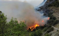 YANGINA MÜDAHALE - Muz Bahçesinde Çıkan Yangın Ormana Sıçradı