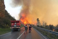 ŞİDDETLİ RÜZGAR - Orman Yangınında 800 Arı Kovanı Kül Olan Teyze Gözyaşlarına Boğuldu
