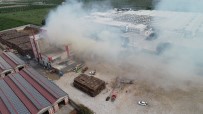 HAVUTLU - Pamuk Yağı Fabrikasında Yangın