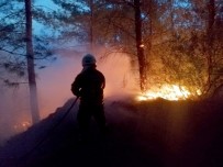 ŞİDDETLİ RÜZGAR - Seydikemer'de Orman Yangını