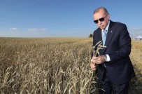 KURU FASULYE - Erdoğan, Başkan Öz'ün Dile Getirdiği Talebi Çözüme Kavuşturdu
