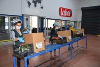 MUSTAFA ÇETIN - Kalkınma Kooperatifinden İhtiyaç Sahiplerine Sebze Desteği