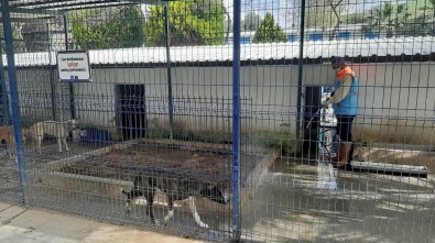 Kuşadası'nda Hayvan Bakım Ve Rehabilitasyon Merkezi Dezenfekte Edildi
