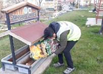 NEVŞEHİR BELEDİYESİ - Nevşehir Belediyesinden Sokak Hayvanlarına Mama Ve Su Desteği
