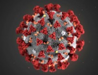 QUEENSLAND - Ölümcül koronavirüs havadan bulaşır mı?