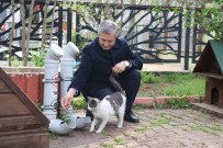 ŞAHINBEY BELEDIYESI - Şahinbey Sokak Hayvanlarını Unutmadı