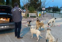 Samsat Belediyesi Aç Kalan Hayvanları Unutmadı Haberi