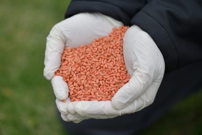 Tarım Ve Orman Bakanlığı Ekilebilir Tüm Arazileri Üretime Katmak İçin Harekete Geçti