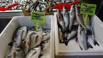 ORMAN BAKANLIĞI - Vatandaş Ucuz Balık Yesin Diye Fiyatları Yarı Yarıya Düşürdü