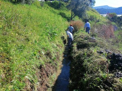 Alanya'da Sulama Kanallarını Temizliyor
