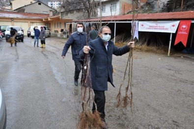 Gümüşhane'de 65 Yaş Üzeri Çiftçilerin Fidanları Evlerine Götürüldü