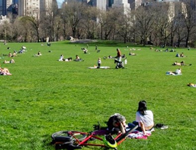 New York'ta parklar geçici mezarlık olabilir