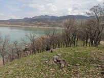 UZMAN ÇAVUŞ - Tunceli'de Baraj Gölünde Ceset Bulundu