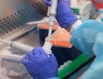 ERCIYES ÜNIVERSITESI - Türk bilim insanlarınn büyük başarısı!