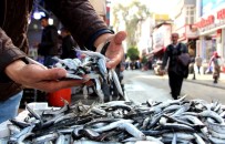 En Fazla Hamsi İhracatı Belçika'ya