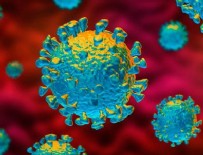 AŞIRI KİLOLU - İşte koronavirüsün en çok etkilediği hastalık!